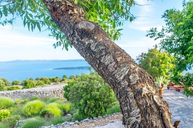Sea View Dvori Sv. Jurja *